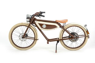 復(fù)古電動(dòng)自行車風(fēng)靡歐洲 Hey，畫說助動(dòng)自行車的騎行新潮流